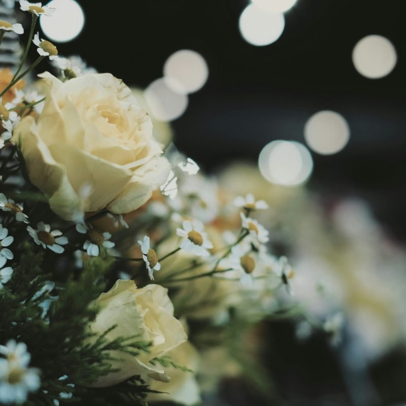 nguy-n-le-hoai-chau-aAEqrqARzqk-unsplash